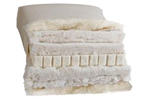 BIOFUTON DW 2.2 / sensitive