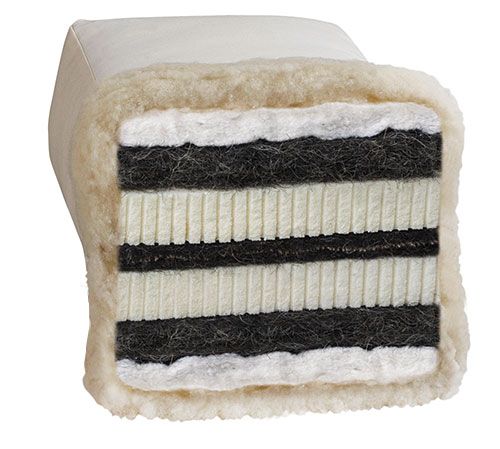 BIOFUTON DW 6.2 /sensitive