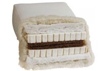 BIOFUTON DW 5.0 vertical slice