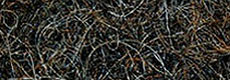 Horsehair Image Horsehair Image